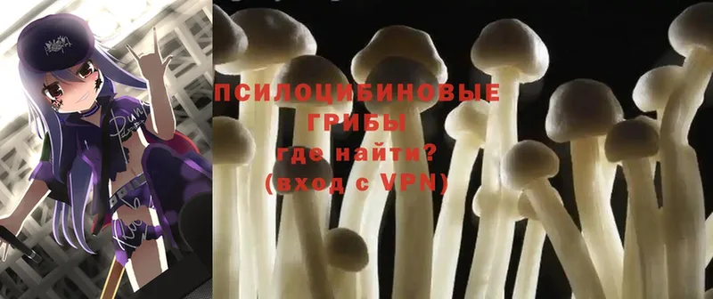 наркота  darknet официальный сайт  Псилоцибиновые грибы Magic Shrooms  Анадырь 